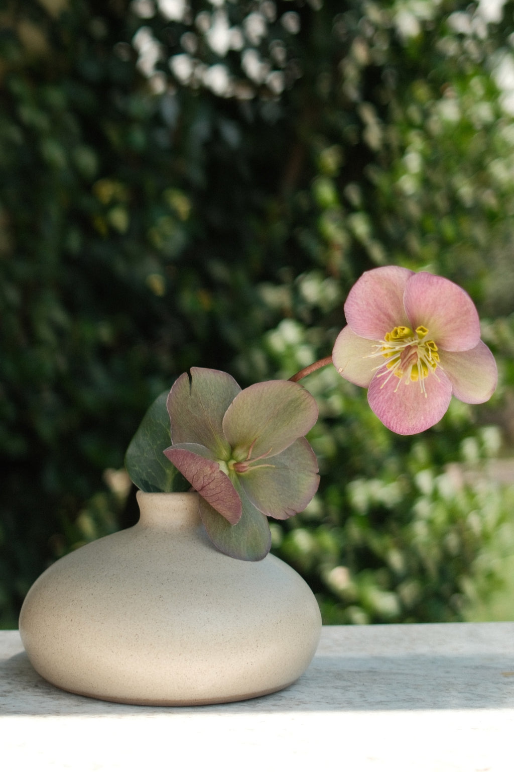 Chubby Mediterranean Flower Base Cap