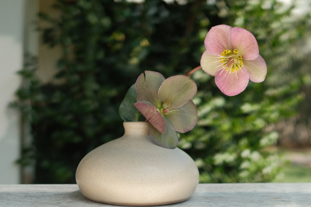 Chubby Mediterranean Flower Base Cap
